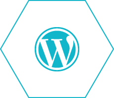 WordPressによるCMS化、プラウグイン開発